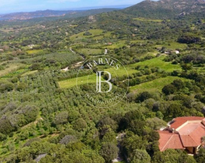 Villa La Ruota